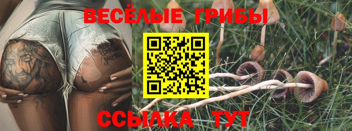 Галлюциногенные грибы ЛСД  Вход с VPN  Туапсе 